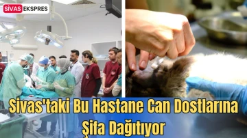 Sivas'taki Bu Hastane Can Dostlarına Şifa Dağıtıyor