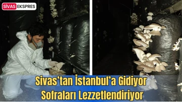 Sivas’tan İstanbul’a Gidiyor, Sofraları Lezzetlendiriyor
