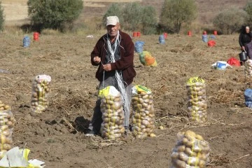 Sivaslı Çiftçiler Patates Firmalarını İstemiyor