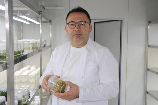 Uzmanı Uyardı! Fazlası Zarar