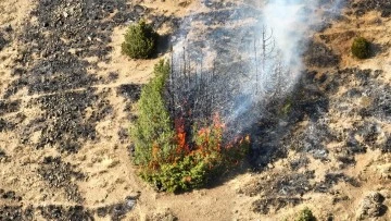 Yangınlarda 210 Hektar Alan Yandı