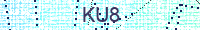 Güvenlik Resmi