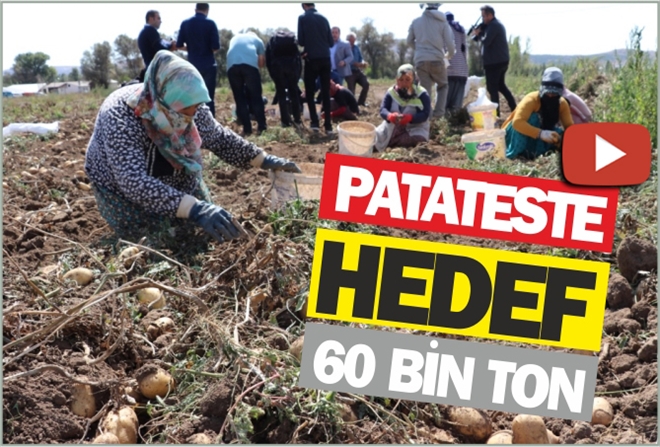 PATATESTE HEDEF 60 BİN TON